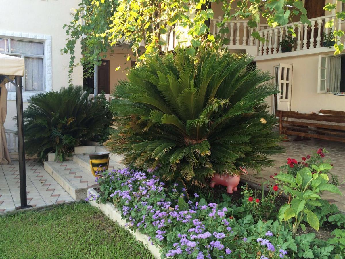 Guest House Liel Sukhumi Exterior photo